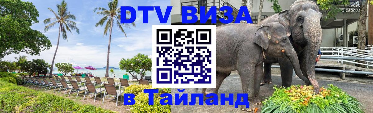 Сколько стоит DTV виза — актуальные цены, оформление даже без документов - 